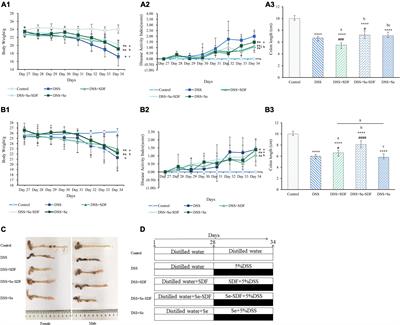 Pretreatment with millet-derived selenylated soluble dietary fiber ameliorates dextran sulfate sodium-induced colitis in mice by regulating inflammation and maintaining gut microbiota balance